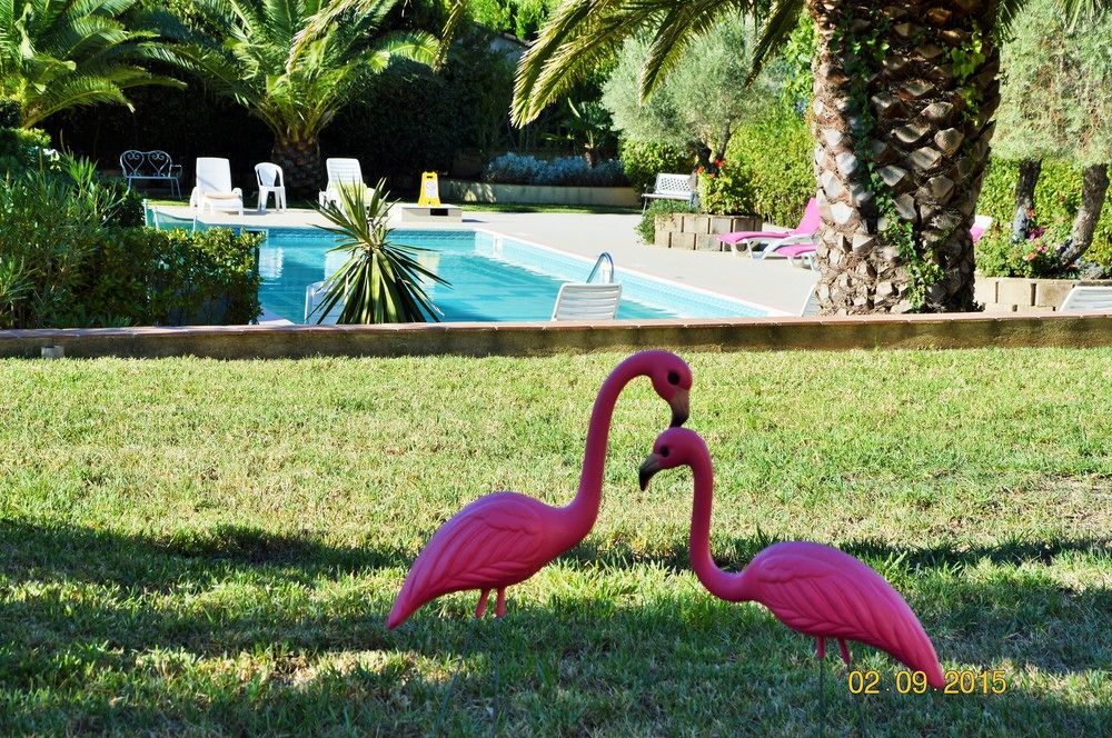 Villa Les 4 Saisons Saint Tropez Buitenkant foto